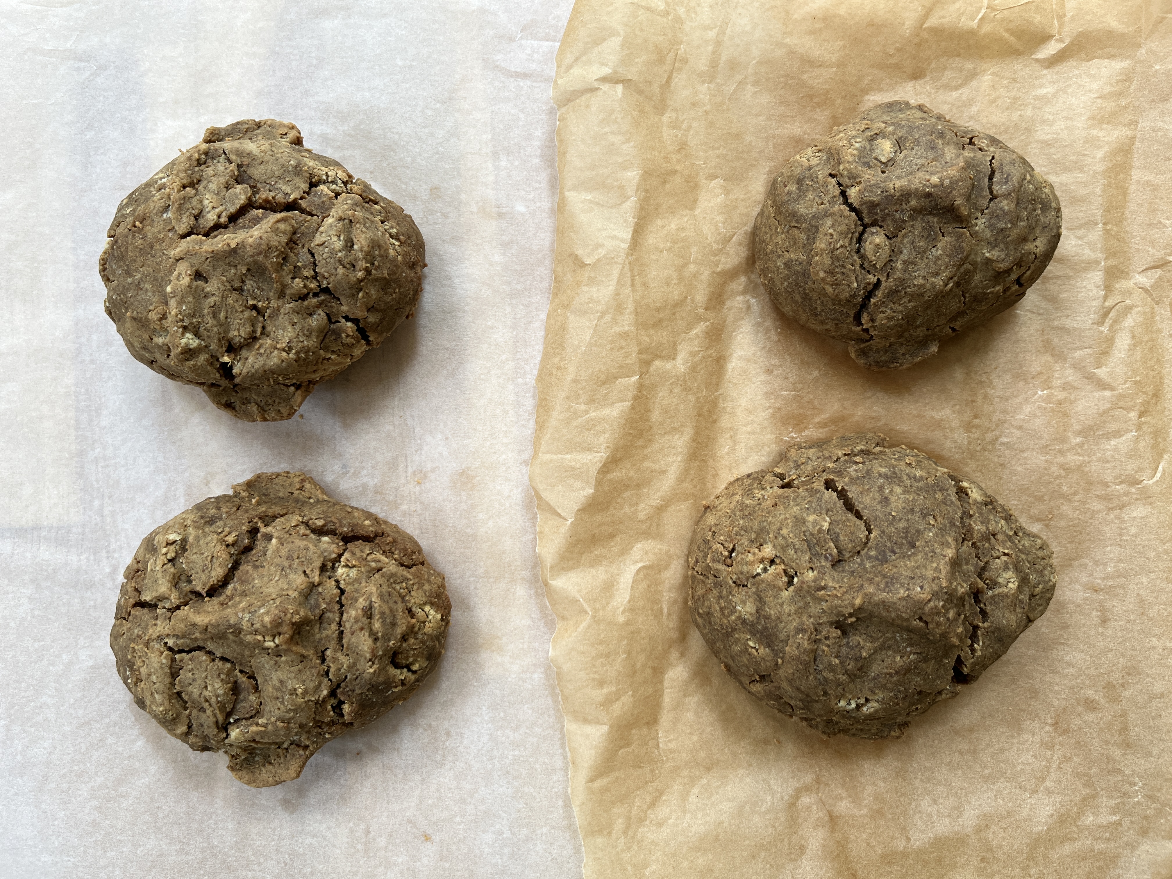 Biscuit Heads, 2025